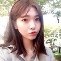 Z同学 社会科学专业